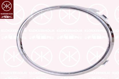 Trim/Protection Strip, bumper {{description_2_en}}