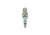 Spark Plug Nissan, Renault