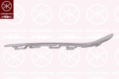 Trim/Protective Strip, bumper 