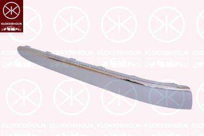 Trim/Protective Strip, bumper 