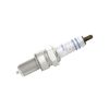 Spark Plug XR2CS
