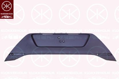 Trim/Protective Strip, bumper 