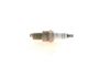 Spark Plug WR5DC