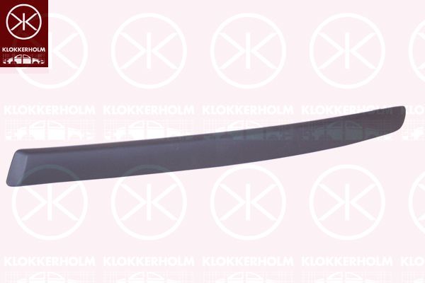 Trim/Protective Strip, bumper 