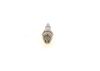 Spark Plug Opel