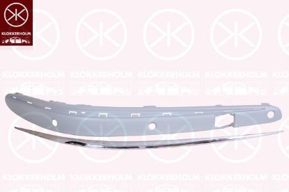 Trim/Protective Strip, bumper 