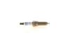 Spark Plug PASSAT (3C2), TOUAREG (7P5)