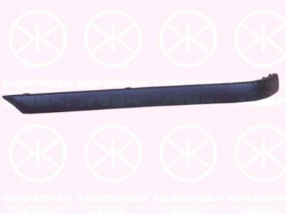Trim/Protective Strip, bumper 