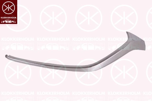 Trim/Protective Strip, bumper 