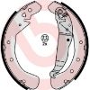Brake Shoe Set 