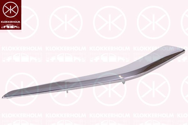 Trim/Protective Strip, bumper 