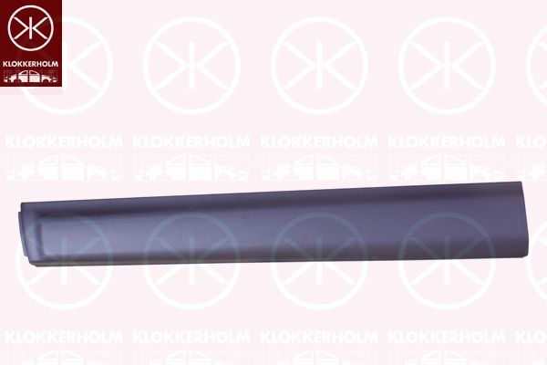 Trim/Protective Strip, bumper 