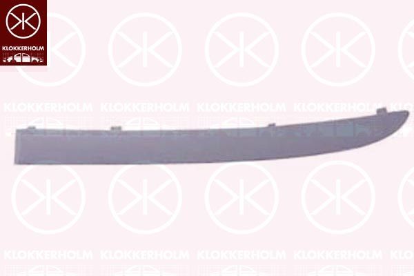 Trim/Protective Strip, bumper 