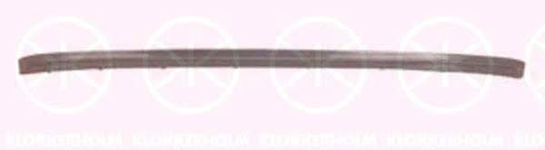 Trim/Protective Strip, bumper 