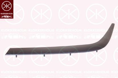 Trim/Protective Strip, bumper 