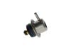 Fuel Pressure Regulator 