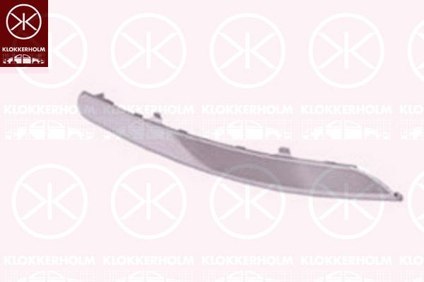 Trim/Protective Strip, bumper 