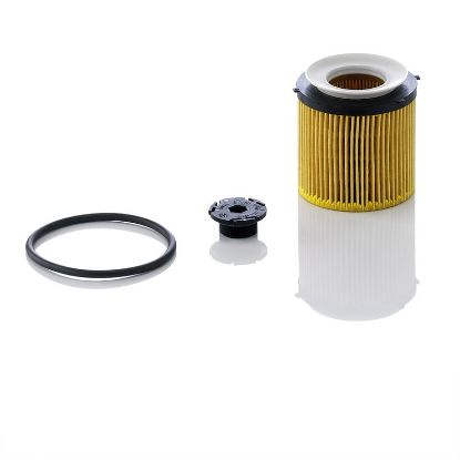 Oil Filter BMW - 11 42 7 618 461