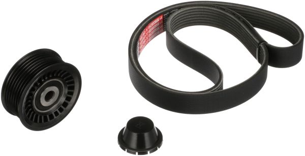 V-Ribbed Belt Set RENAULT  117205500R
