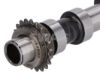 Camshaft Opel PKW 39175858
