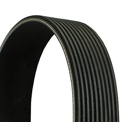 V-Ribbed Belt