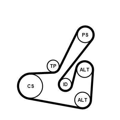 V-Ribbed Belt Set Citroen Berlingo, Peugeot