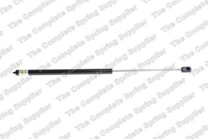 Gas Spring, boot/cargo area kapotile MB C-CLASS