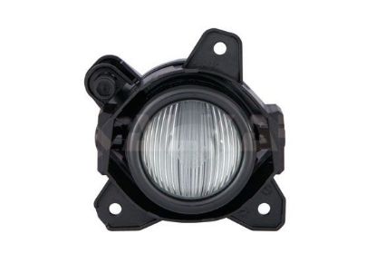 Front Fog Light