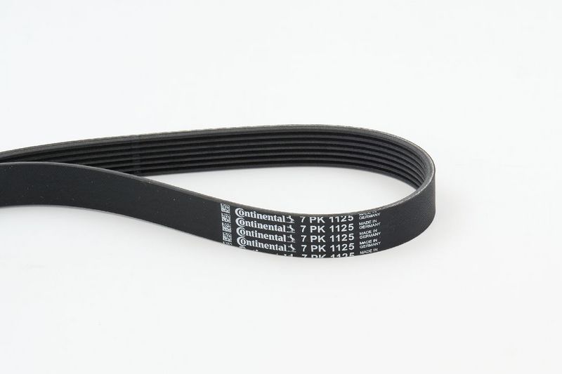 V-Ribbed Belt RENAULT - 82 00 072 113