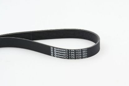 V-Ribbed Belt RENAULT - 82 00 072 113