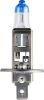 Bulb, spotlight H1 X-tremeVision Pro150 2tk +150% valgus