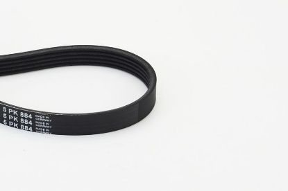 V-Ribbed Belt PSA - 5750.Q7