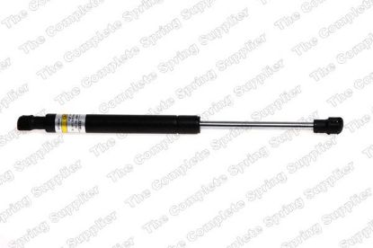 Gas Spring, boot/cargo area kapotile Bmw X5 05/00-