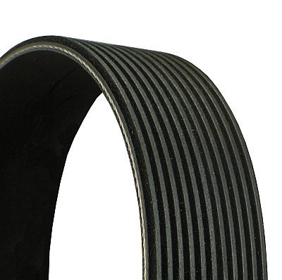 V-Ribbed Belt