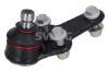 Ball Joint FOCUS (DAW, DBW) - 1 679 401