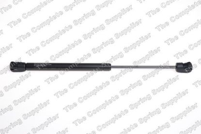 Gas Spring, boot/cargo area kapotile CHRYSLER