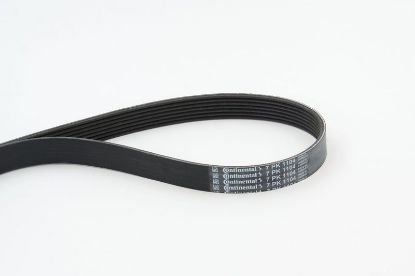 V-Ribbed Belt BMW - 11 28 7 560 485