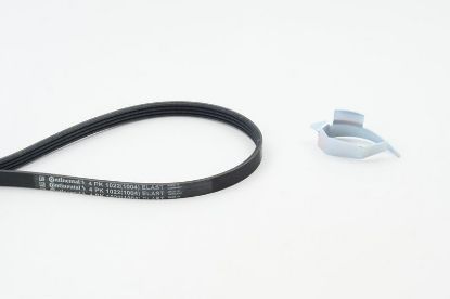V-Ribbed Belt Set Fiat