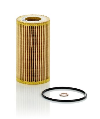 Oil Filter BMW - 11 42 2 247 018
