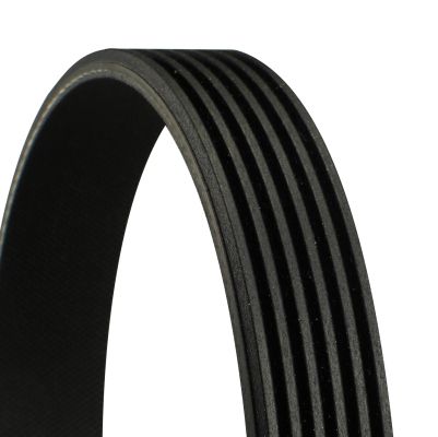 V-Ribbed Belt VAG - 074 260 849S