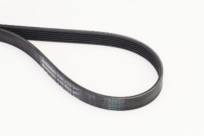 V-Ribbed Belt BMW - 11 28 8 580 362