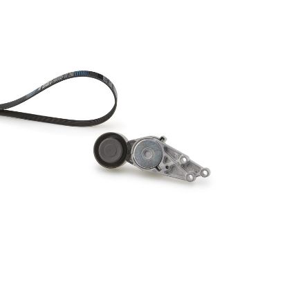 V-Ribbed Belt Set PASSAT (3B3), A4 (8E2, B6) 46-55713 + 5PK1303