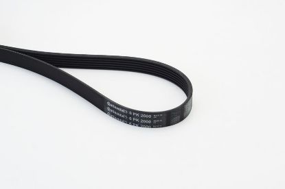 V-Ribbed Belt MERCEDES-BENZ - 002 993 89 96