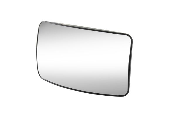 Exterior Mirror EVOBUS - 671 810 14 16
