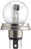Bulb, spotlight R2 P45t-41