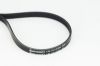 V-Ribbed Belt VOLVO - 30616942