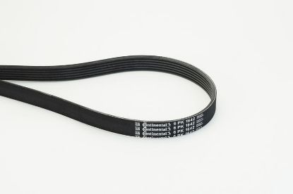 V-Ribbed Belt PSA - 96 765 531 80