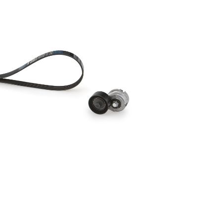 V-Ribbed Belt Set ALFA ROMEO - FIAT