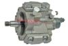 High Pressure Pump MG/ROVER