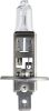 Bulb, spotlight H1 70W P14.5S MasterDuty